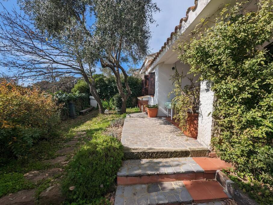 Cottage Familiare Sant'Agostino 阿巴桑塔 外观 照片